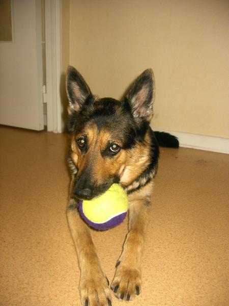 Mya